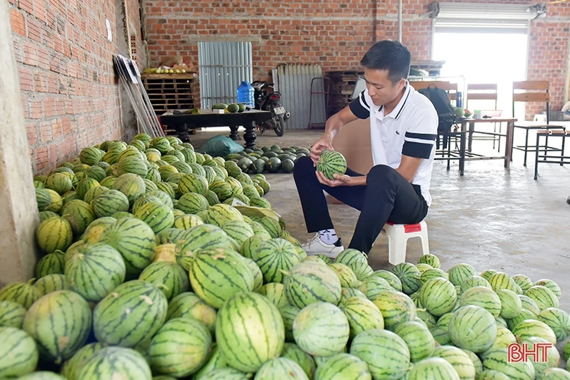 Mát xanh những vùng nông nghiệp sinh thái ven đô