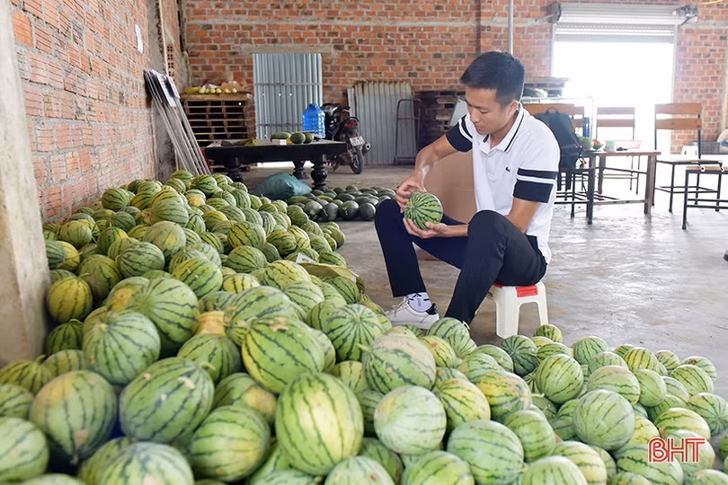 Mát xanh những vùng nông nghiệp sinh thái ven đô