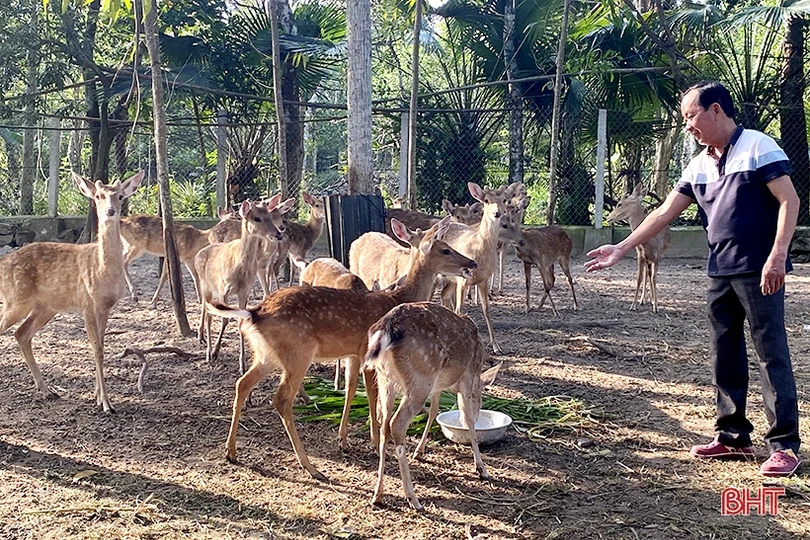 Hà Tĩnh nổi bật trong xây dựng nông thôn mới