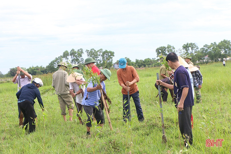 Trồng 10.000 cây tràm nước chỉnh trang khu vực sông Cầu Đông ở TP Hà Tĩnh