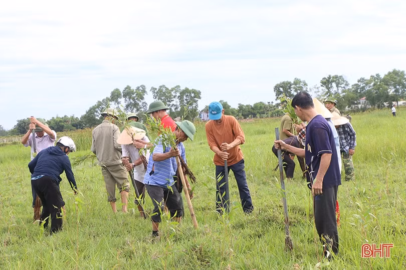 Trồng 10.000 cây tràm nước chỉnh trang khu vực sông Cầu Đông ở TP Hà Tĩnh