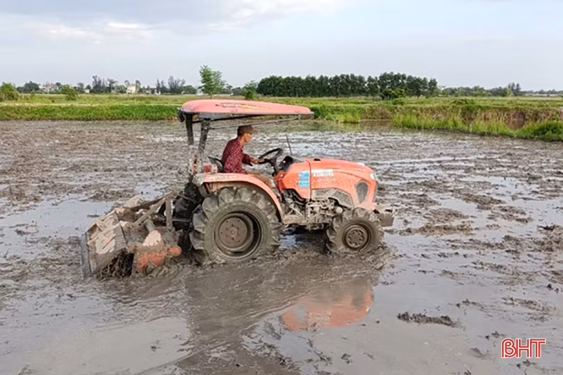 Lộc Hà gấp rút phủ kín 2.690 ha lúa vụ hè thu trước ngày 15/6