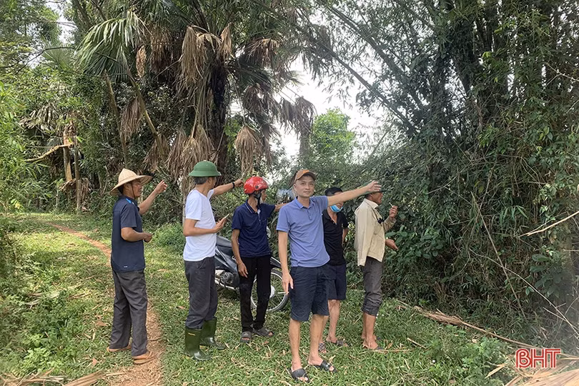 Hương Khê yêu cầu đình chỉ trang trại chăn nuôi xả thải gây ô nhiễm môi trường