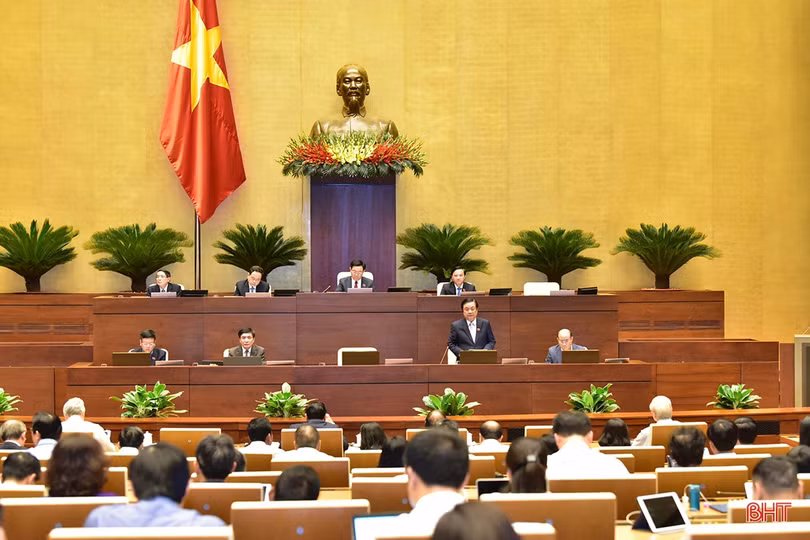 ĐBQH Hà Tĩnh chất vấn về phát triển vùng nguyên liệu phục vụ chăn nuôi