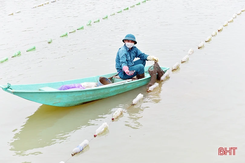 Mát xanh những vùng nông nghiệp sinh thái ven đô