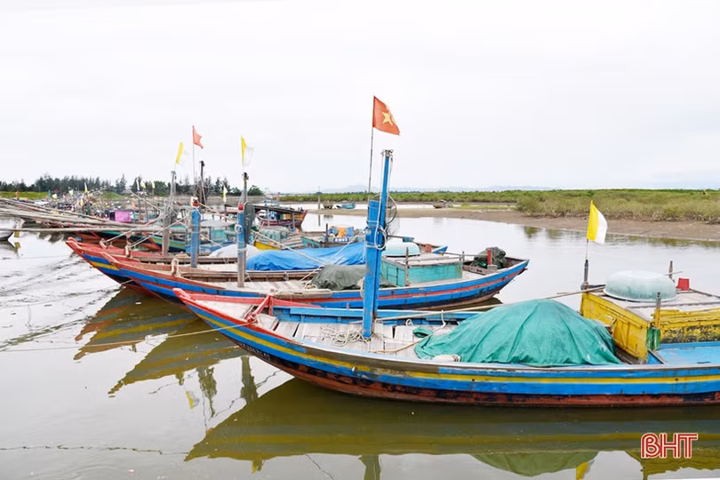 Giá dầu tăng cao, ngư dân Hà Tĩnh “tiến thoái lưỡng nan”