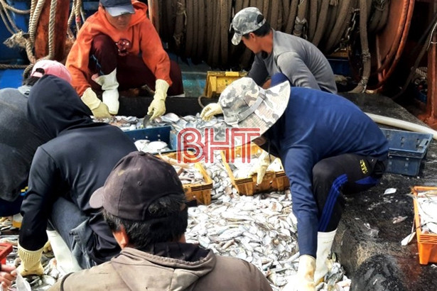 Bắt 2 tàu cá sử dụng lưới giã cào khai thác trái phép trên vùng biển phía Nam Hà Tĩnh