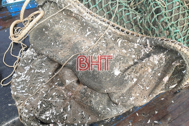 Bắt 2 tàu cá sử dụng lưới giã cào khai thác trái phép trên vùng biển phía Nam Hà Tĩnh