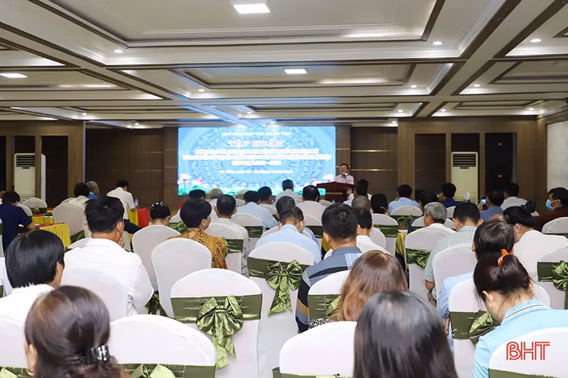 Trang bị kiến thức cho Hợp tác xã Hà Tĩnh nâng cao sản xuất chuỗi giá trị