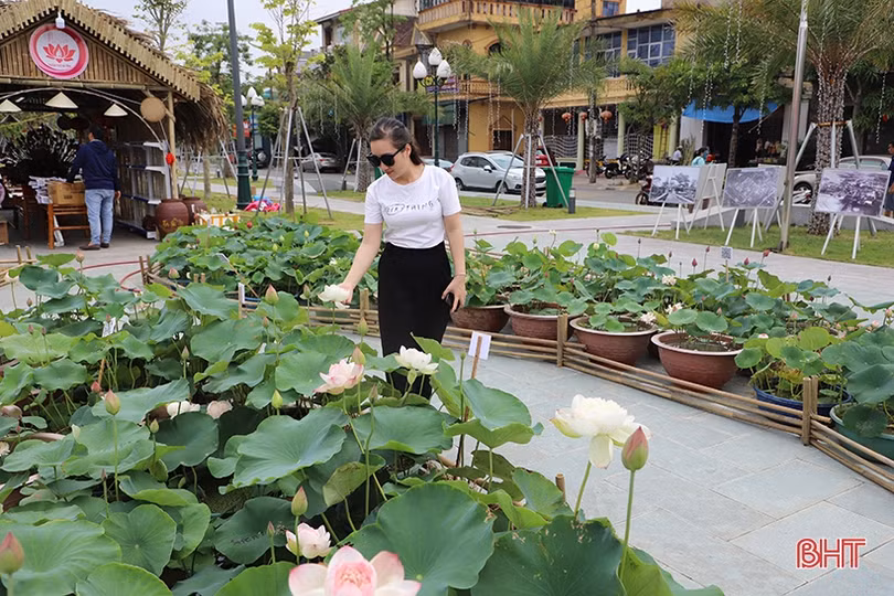 Đa dạng các hoạt động kỷ niệm 15 năm thành lập thành phố Hà Tĩnh