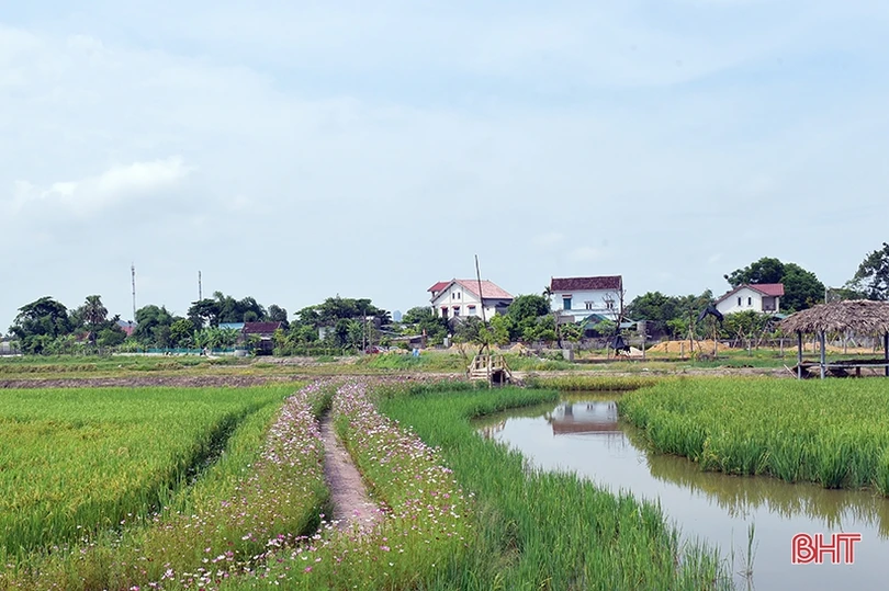 Mát xanh những vùng nông nghiệp sinh thái ven đô