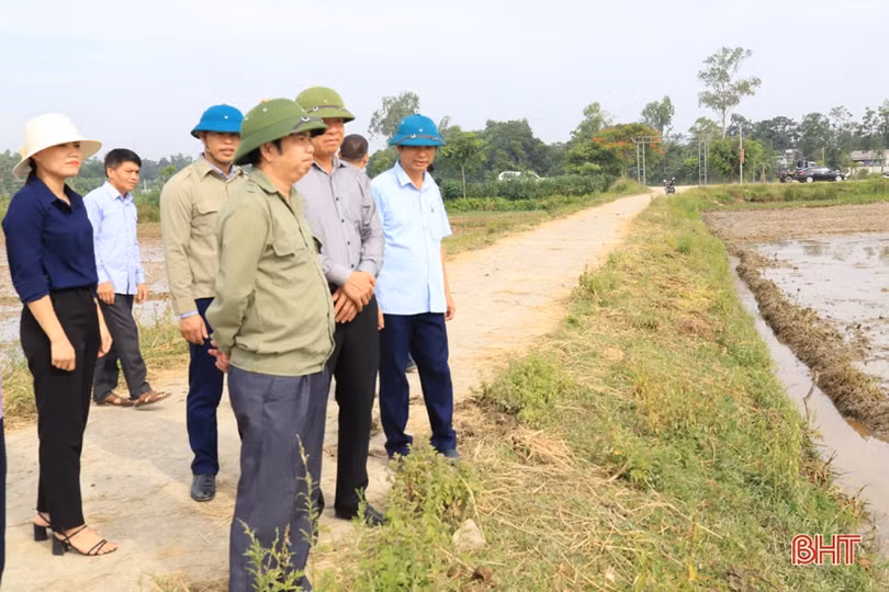 Tiến độ gieo cấy lúa hè thu ở Hương Sơn mới đạt 43,2%