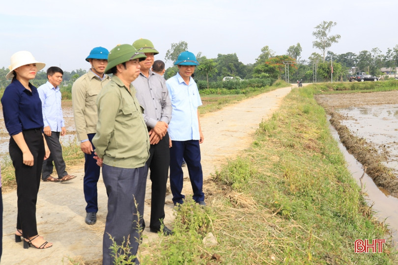 Tiến độ gieo cấy lúa hè thu ở Hương Sơn mới đạt 43,2%