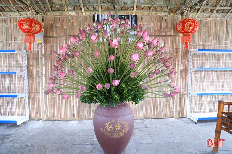 Đa dạng các hoạt động kỷ niệm 15 năm thành lập thành phố Hà Tĩnh