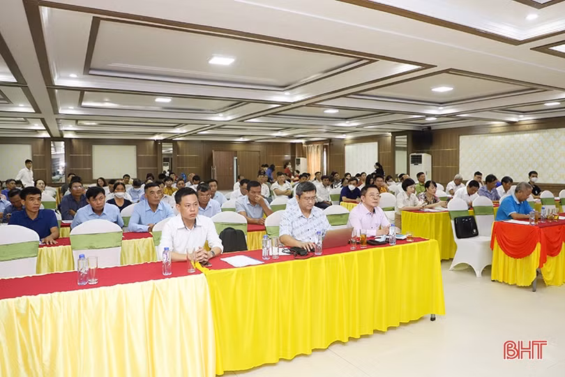 Trang bị kiến thức cho Hợp tác xã Hà Tĩnh nâng cao sản xuất chuỗi giá trị