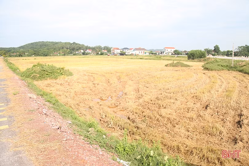 Hà Tĩnh dồn sức cho công tác giải phóng mặt bằng dự án cao tốc Bắc - Nam