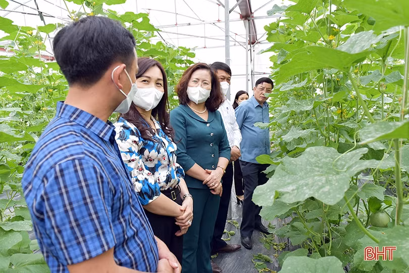 Mát xanh những vùng nông nghiệp sinh thái ven đô