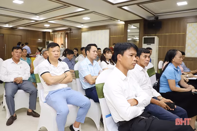 Trang bị kiến thức cho Hợp tác xã Hà Tĩnh nâng cao sản xuất chuỗi giá trị