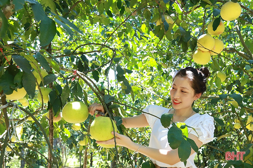 Khi đặc sản Hà Tĩnh thành sứ giả văn hóa, du lịch