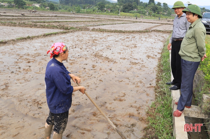 Tiến độ gieo cấy lúa hè thu ở Hương Sơn mới đạt 43,2%