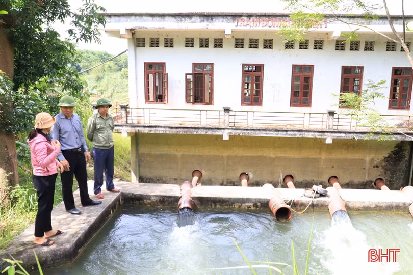 Tiến độ gieo cấy lúa hè thu ở Hương Sơn mới đạt 43,2%