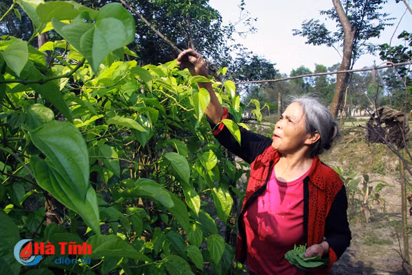 dung khai thac mo sat thach khe bai 7 giu mach nuoc ngam