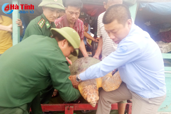 tha con rua nang 80 kg ve bien