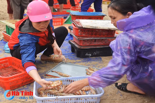 photo niem vui lang bien ha tinh