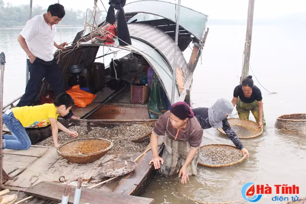 ngot ngao vi hen truong son