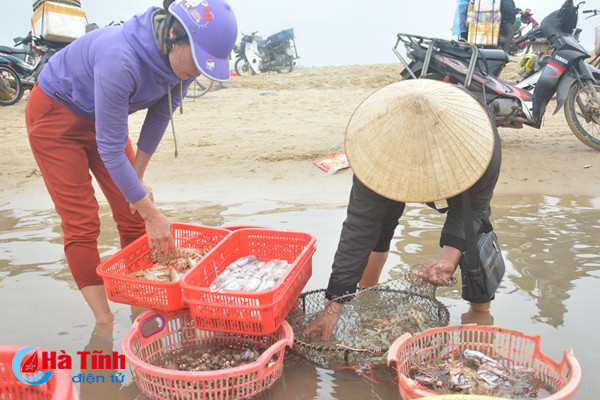 photo niem vui lang bien ha tinh