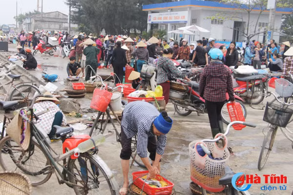 ngu dan vui don loc bien