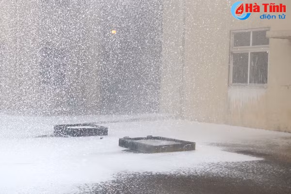 len phuong an doi pho voi tinh huong chay lon tai formosa ha tinh