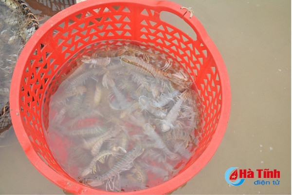 photo niem vui lang bien ha tinh