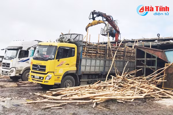 ha tinh thue xuat nhap khau quy i 2018 dat hon 1 215 ty dong