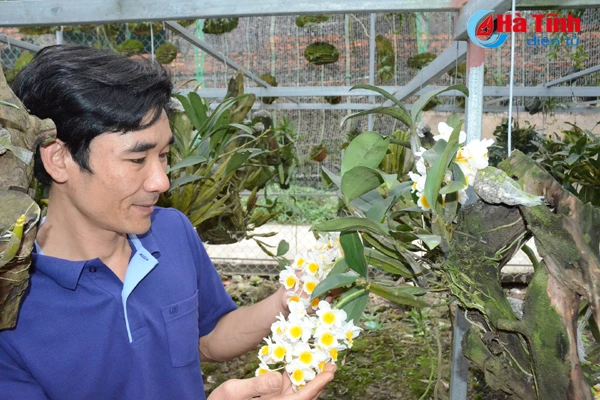 lac giua vuon lan rung tien ty cua chang cu nhan 8x