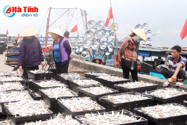 ngu dan vui don loc bien