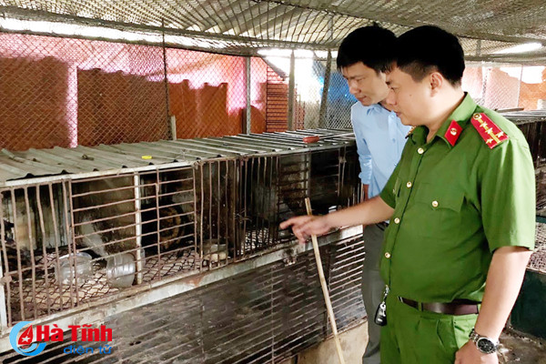 phat hien co so nuoi nhot trai phep dong vat hoang da so luong lon tai tp ha tinh