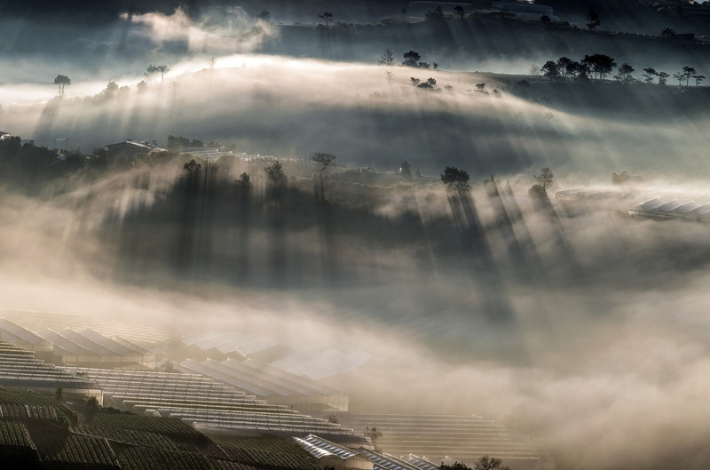 len da lat chup anh can biet 5 bi kip