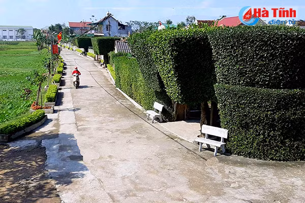 15 khu dan cu nong thon moi kieu mau vao chung ket lan 1