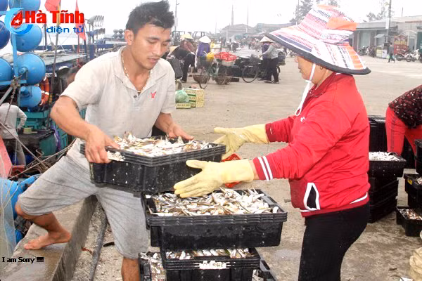 ngu dan vui don loc bien