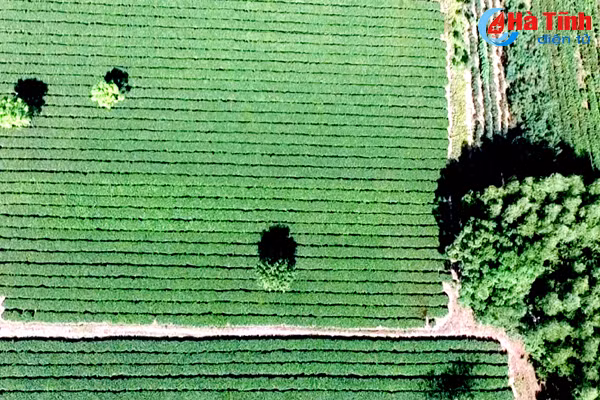 Quỳnh Viên - Nam Giới đẹp mê hồn qua góc máy Flycam