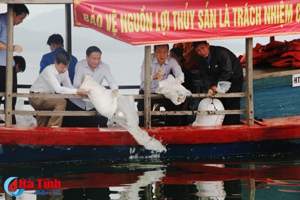 lanh dao ha tinh tha ca giong tai tao nguon loi thuy san