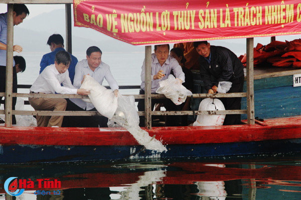 lanh dao ha tinh tha ca giong tai tao nguon loi thuy san