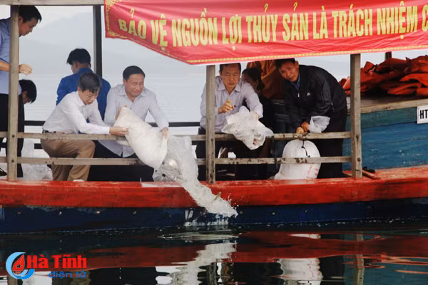 lanh dao ha tinh tha ca giong tai tao nguon loi thuy san