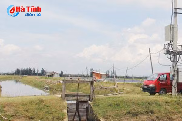 bi dien giat tu vong do vuong duong day ro ri tai dam tom