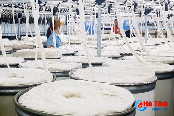 ha tinh thue xuat nhap khau quy i 2018 dat hon 1 215 ty dong