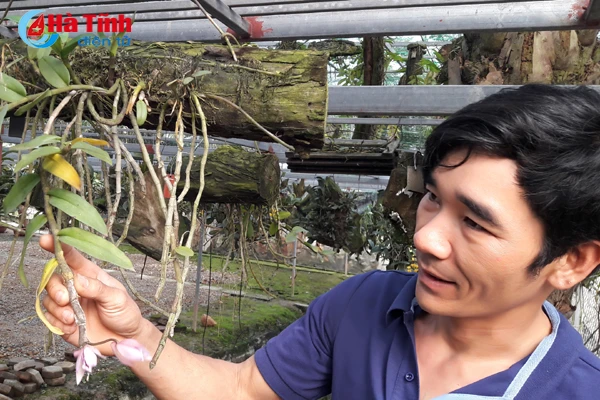 lac giua vuon lan rung tien ty cua chang cu nhan 8x