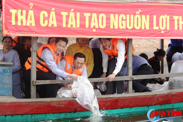 lanh dao ha tinh tha ca giong tai tao nguon loi thuy san