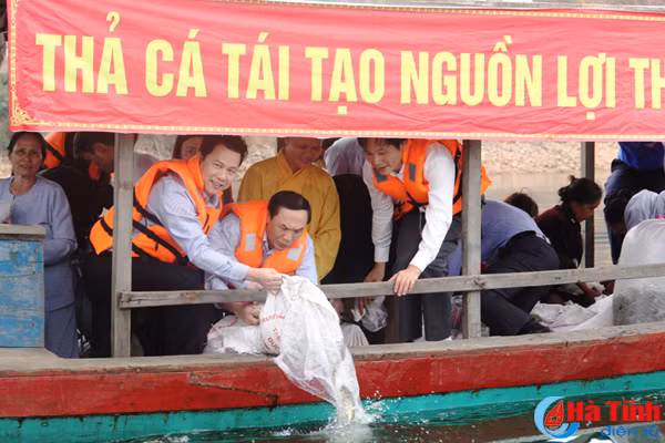lanh dao ha tinh tha ca giong tai tao nguon loi thuy san