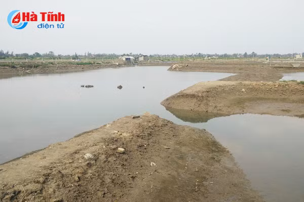 nguoi nuoi tom loc ha thap thom chuan bi mua vu